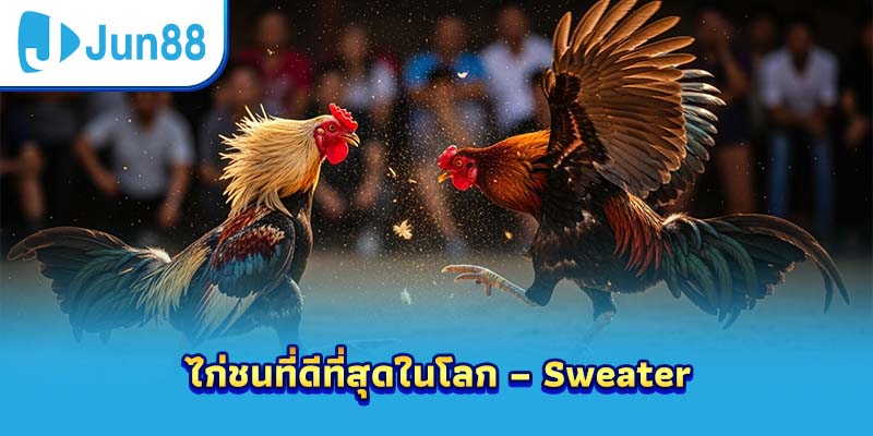 ไก่ชนที่ดีที่สุดในโลก – Sweater