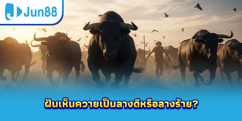 ฝันเห็นควายเป็นลางดีหรือลางร้าย?