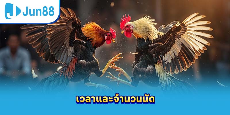 เวลาและจำนวนนัด