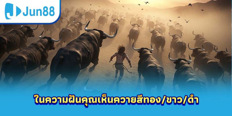 ในความฝันคุณเห็นควายสีทอง/ขาว/ดำ