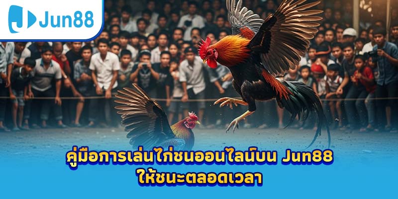 คู่มือการเล่นไก่ชนออนไลน์บน Jun88 ให้ชนะตลอดเวลา