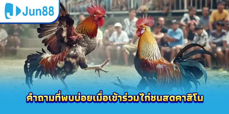 คำถามที่พบบ่อยเมื่อเข้าร่วมไก่ชนสดคาสิโน
