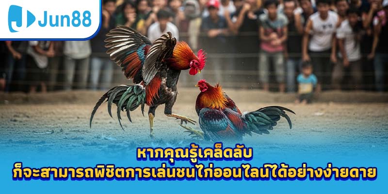 หากคุณรู้เคล็ดลับ ก็จะสามารถพิชิตการเล่นชนไก่ออนไลน์ได้อย่างง่ายดาย