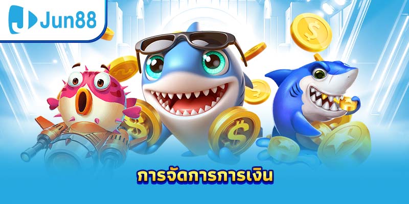 การจัดการการเงิน